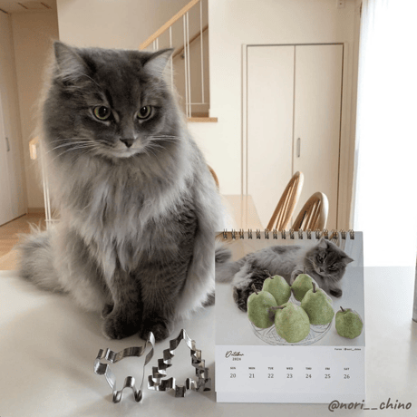 Neko Life 2024 Calendar｜weekly vol.06
