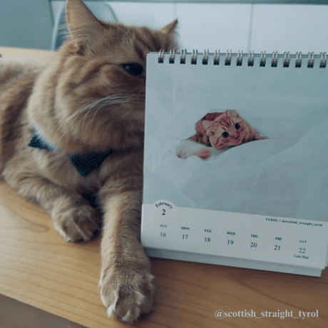 2025 Calendar No.10