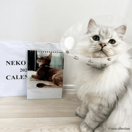 Neko Life 2023 Calendar｜weekly No.2