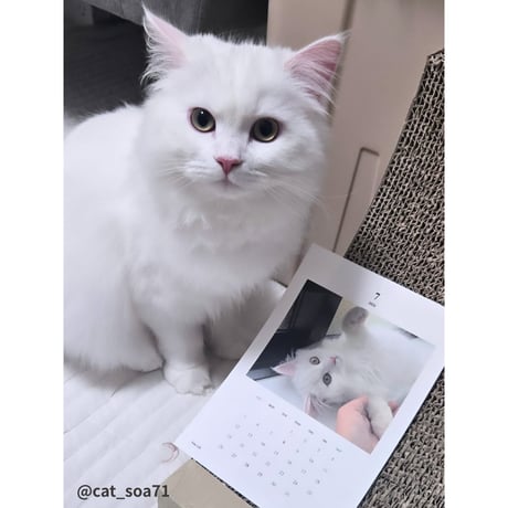 2026 Calendar Monthly