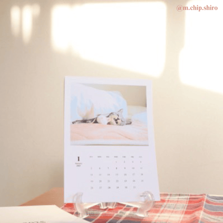 2025 Calendar Monthly