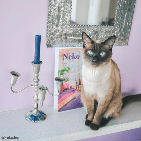 Neko Life Vol.04