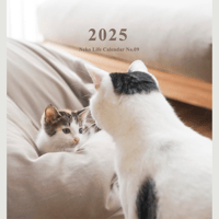 2025 Calendar No.09