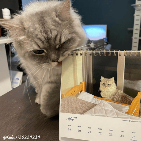 Neko Life 2024 Calendar｜weekly vol.04
