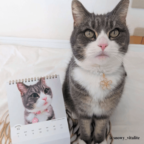2025 Calendar No.01