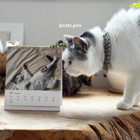 2026 Calendar No.05