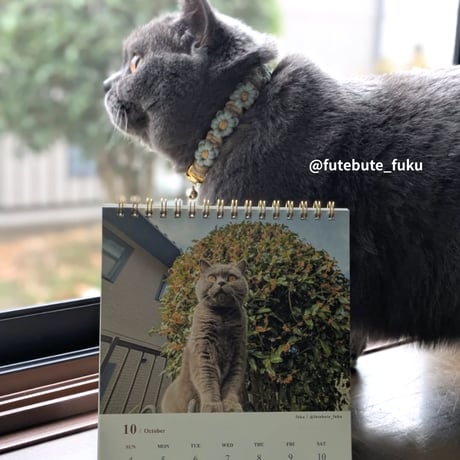 2026 Calendar No.07