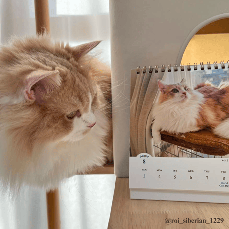 2025 Calendar No.08