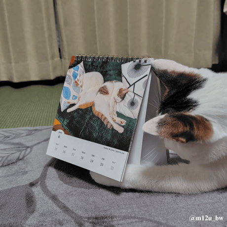 2025 Calendar No.05