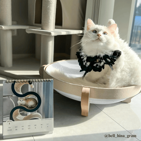 2025 Calendar No.08
