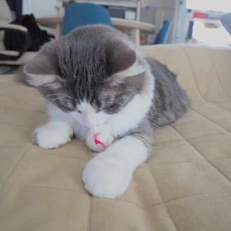 cat toy｜pink mouse