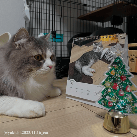 2025 Calendar No.09