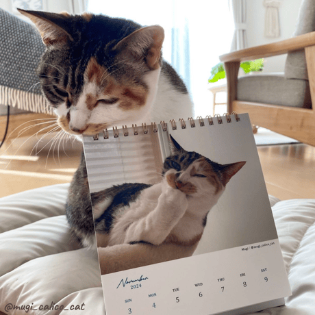 Neko Life 2024 Calendar｜weekly vol.04