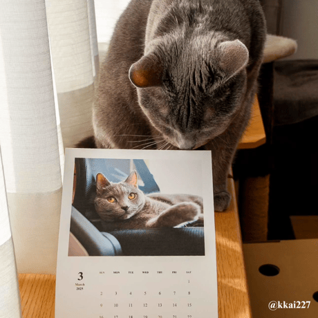 2025 Calendar Monthly