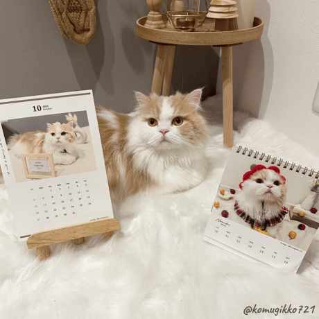 Neko Life 2024 Calendar｜weekly vol.01