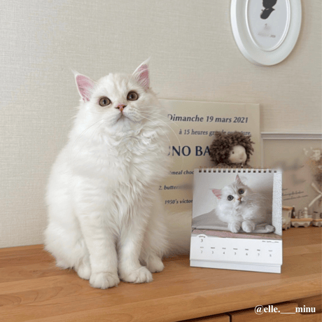 2025 Calendar No.02