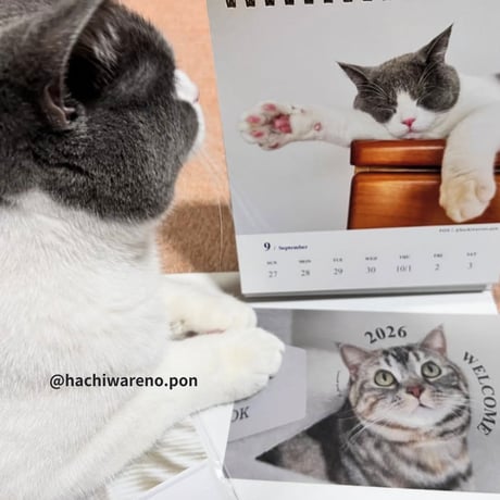 2026 Calendar No.09