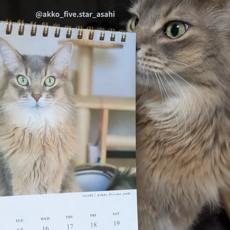 2026 Calendar No.10