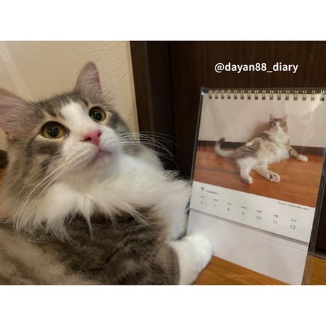 2026 Calendar No.07