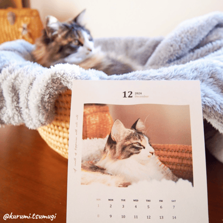Neko Life 2024 Calendar｜monthly