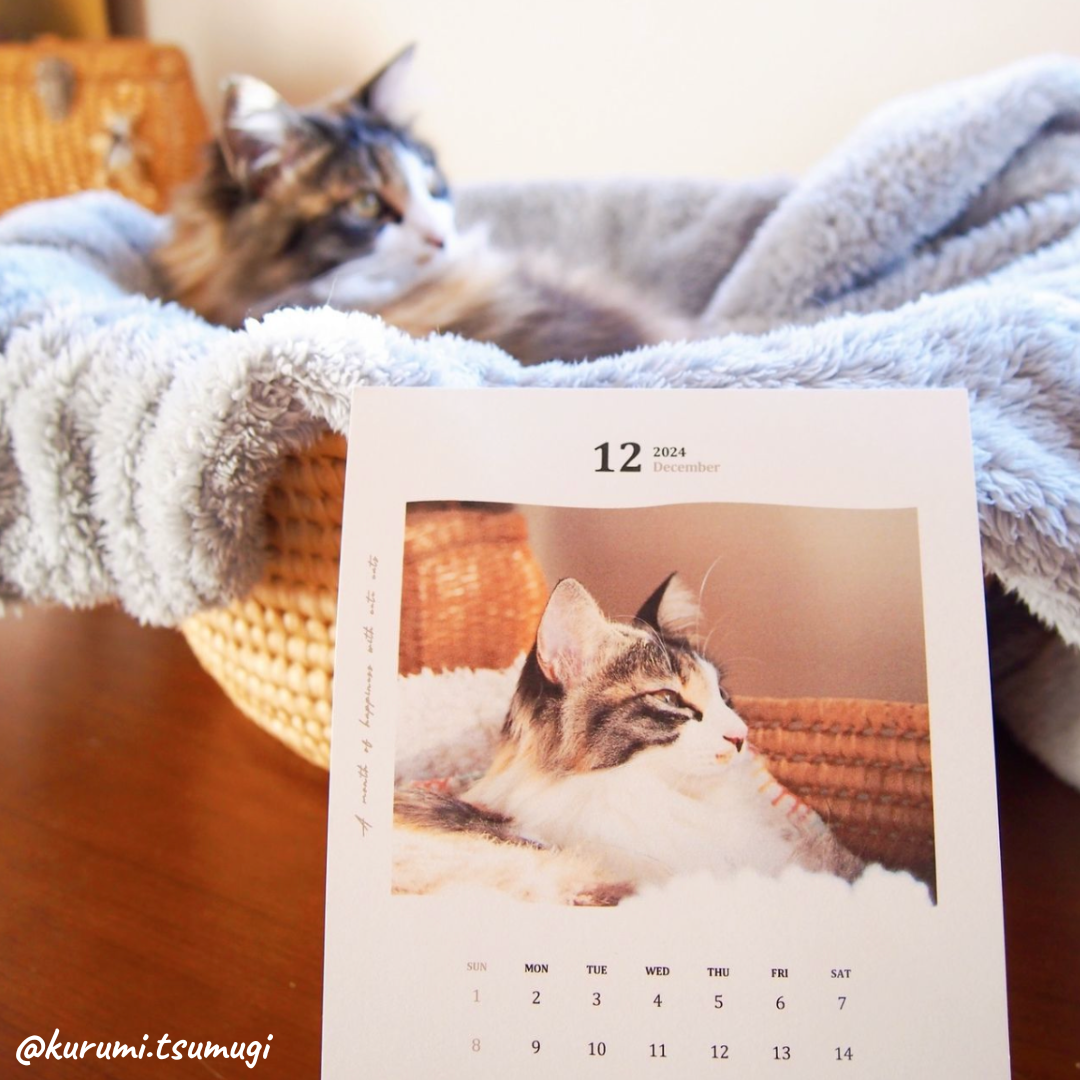 nekokoページ Neko Life 2024 Calendar｜monthly | Neko Life