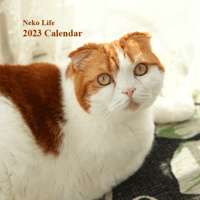 Neko Life 2023 Calendar｜weekly No.3