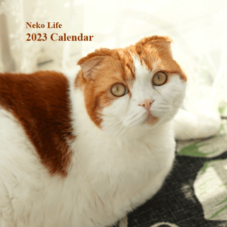 Neko Life 2023 Calendar｜weekly No.3