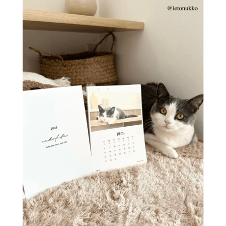 Neko Life 2023 Calendar｜monthly