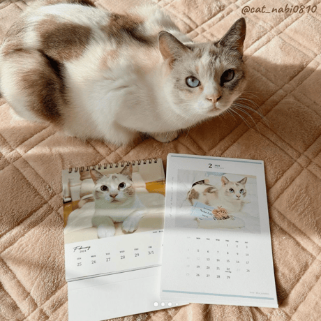 Neko Life 2024 Calendar｜weekly vol.04