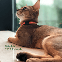 Neko Life 2023 Calendar｜weekly No.2