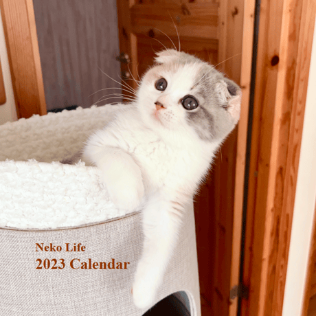 Neko Life 2023 Calendar｜weekly No.1
