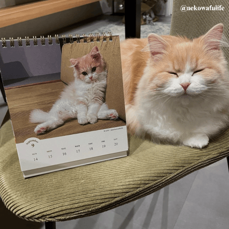 2025 Calendar No.03