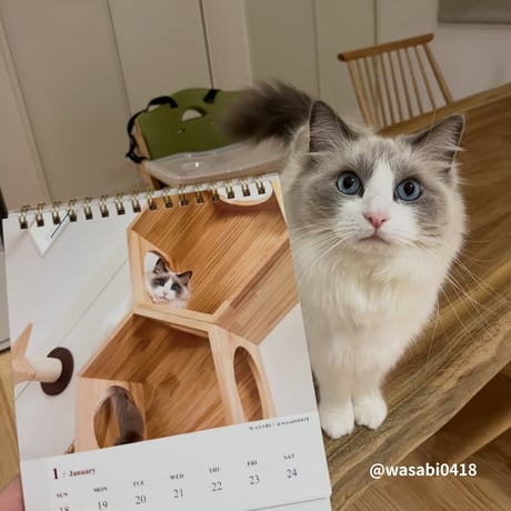 2026 Calendar No.03