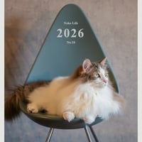 2026 Calendar No.10