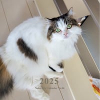 2025 Calendar No.04
