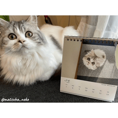 Neko Life 2024 Calendar｜weekly vol.03