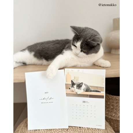 Neko Life 2023 Calendar｜monthly