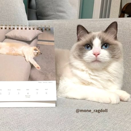 2026 Calendar No.05