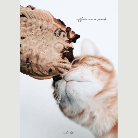 Photo Book " Give me a snack "