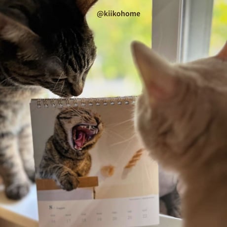 2026 Calendar No.05