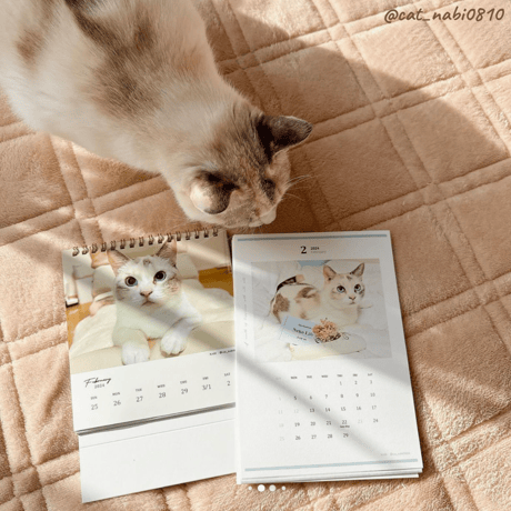 2024 Invitation Calendar｜monthly No.1