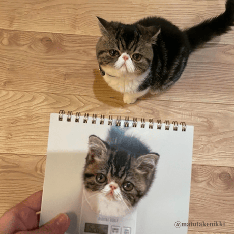 2025 Calendar No.06