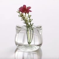 flower vase｜clear cat