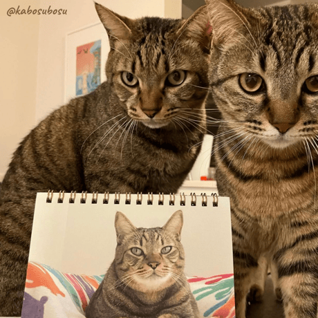 Neko Life 2024 Calendar｜weekly vol.03