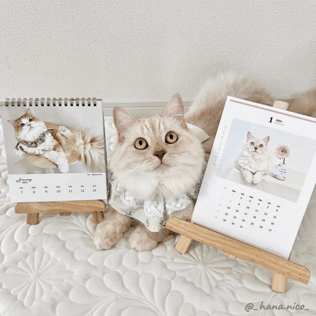 2024 Invitation Calendar｜monthly No.1