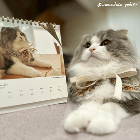 Neko Life 2024 Calendar｜weekly vol.04