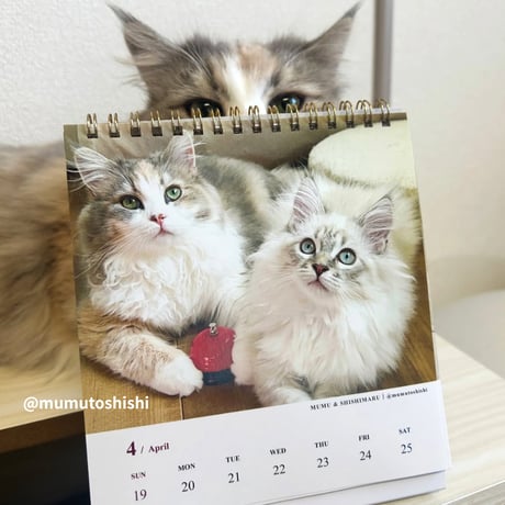 2026 Calendar No.10