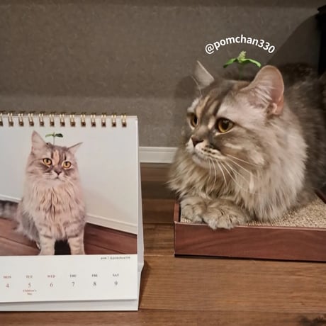 2026 Calendar No.01