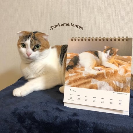 2026 Calendar No.05