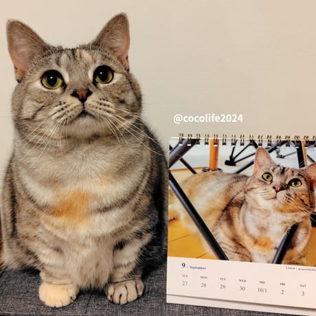 2026 Calendar No.07